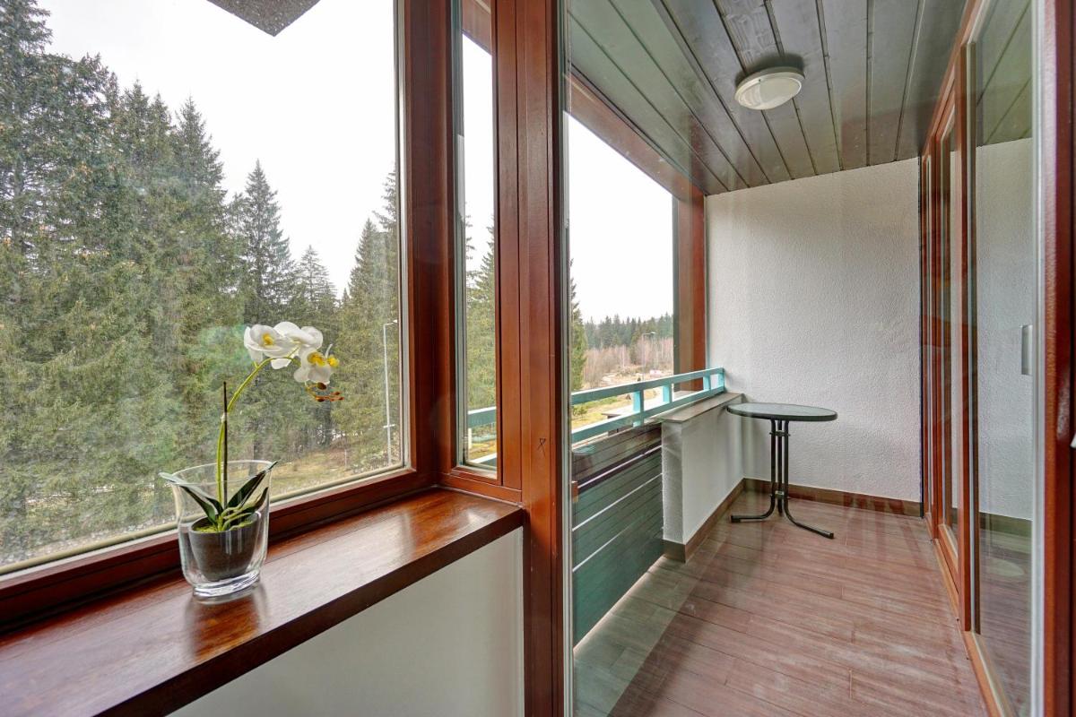 Travel Concept - Silver Mountain - Housity