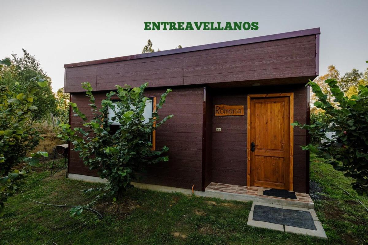Entreavellanos cabañas - Housity