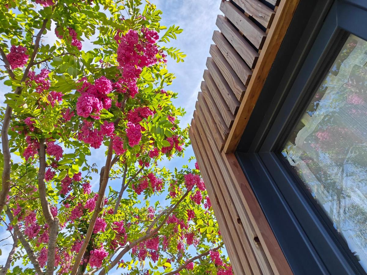 La Cabane de Lili Prune - Housity