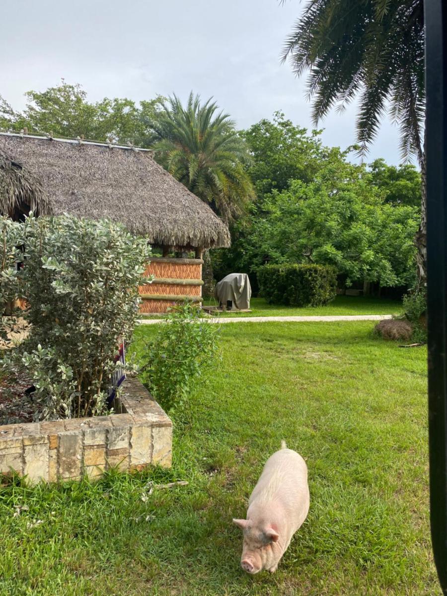 Arritola B and B Ranch - Housity