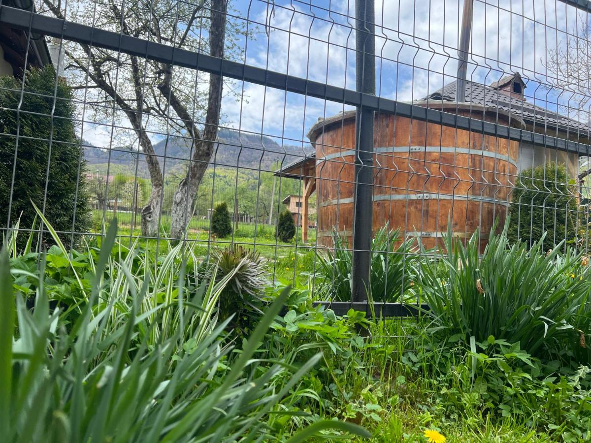 Cozy House Zărnești - Housity