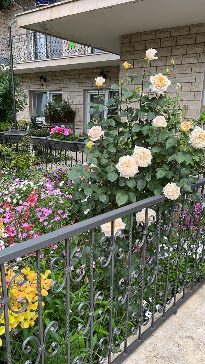 Apartments Ursic - Housity
