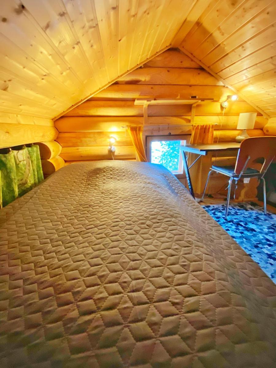Mökki järven rannalla mäntymetsässä - Housity