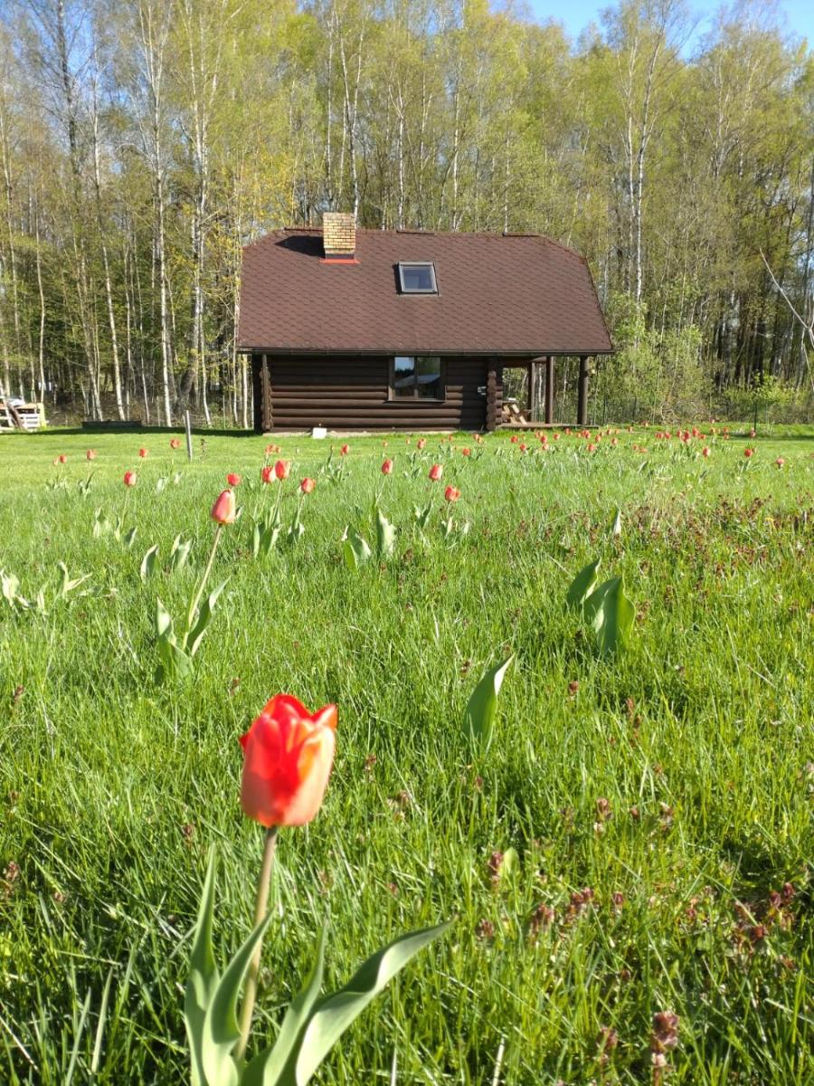 Guest Home 