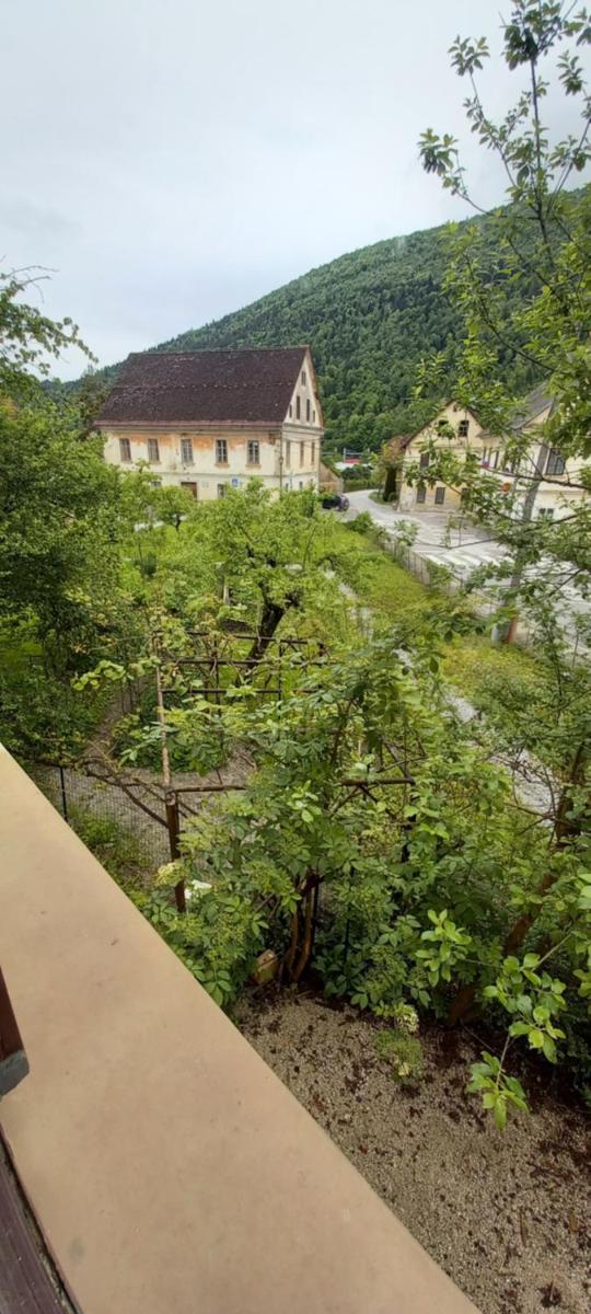 Vila Blueberry - Housity