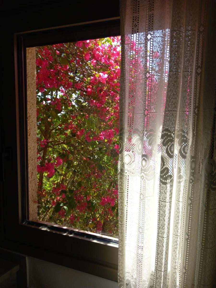 Ifigenia's Rooms - Housity