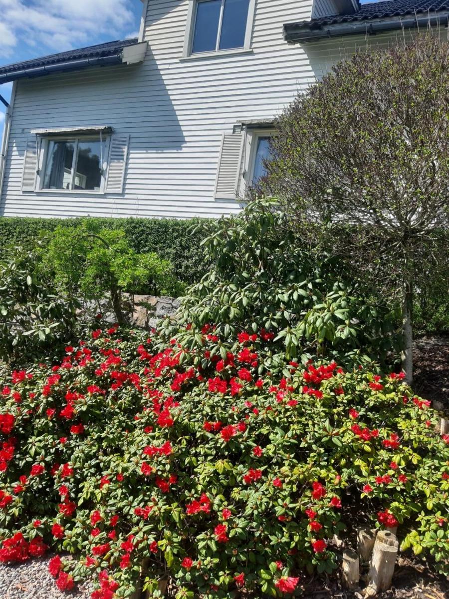 Gamle huset på landet - Housity