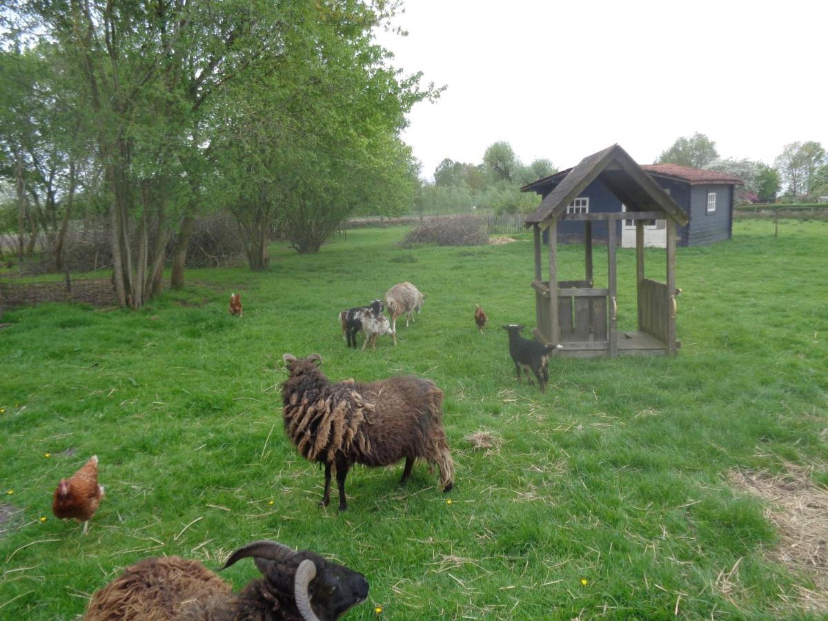 B&B De Boeren Zwaluw - Housity