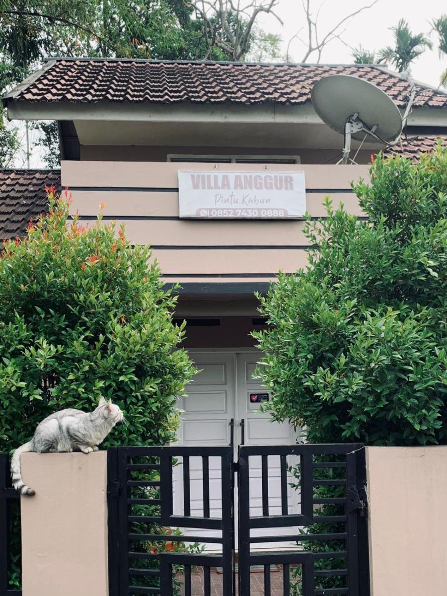 Vila Anggur Pintukabun - Housity