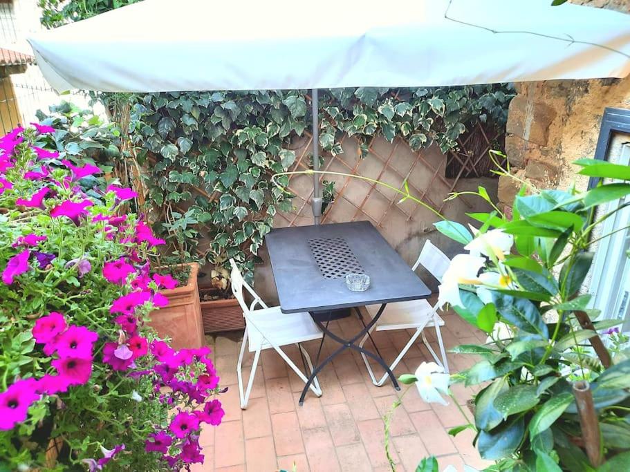 Near the sea flat with terrace in lovely village - Housity