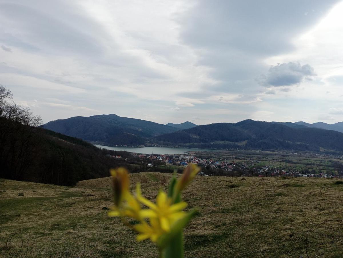 Casa Prieteniei - apartament cu terasa - 3 km Piatra Neam? - Housity