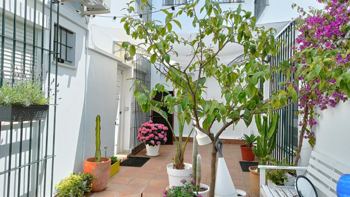 Moderno apartamento a 350 metros de la Playa - Housity