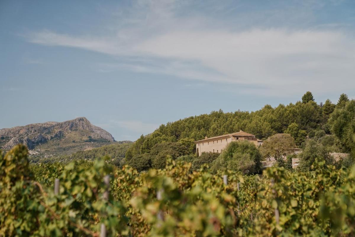 Paisaje cerca de este hotel