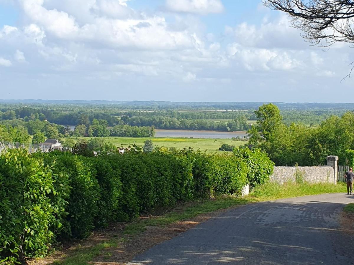 FLEUR DE VIGNE - Housity