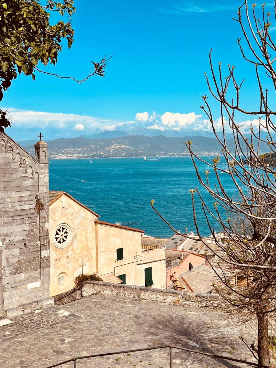 Vittoria 19 - Housity
