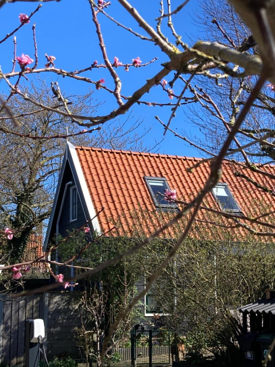 het zwaluwnest - Housity