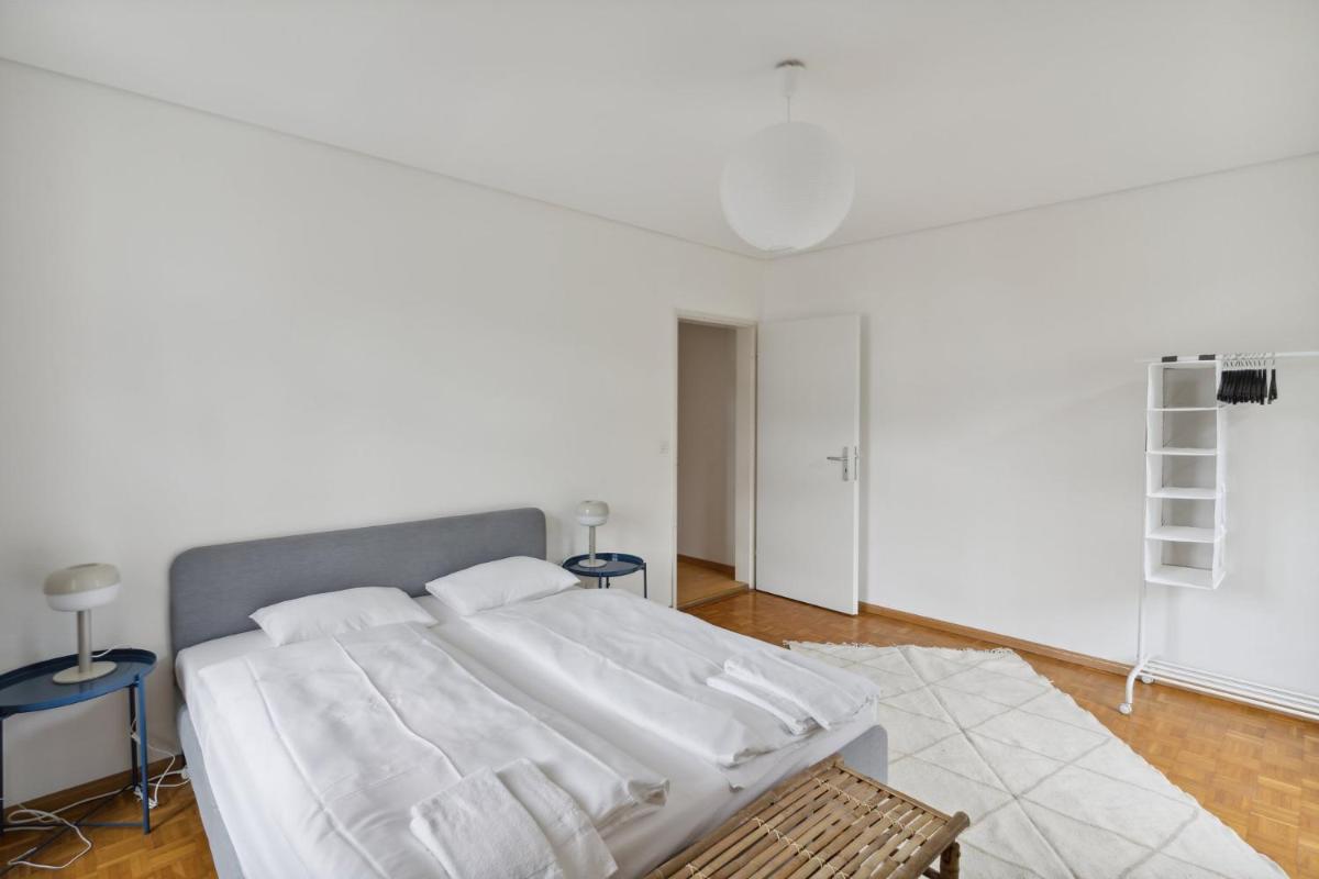 Spacious Apartments in the heart of Zurich ZLTWG66 - Housity