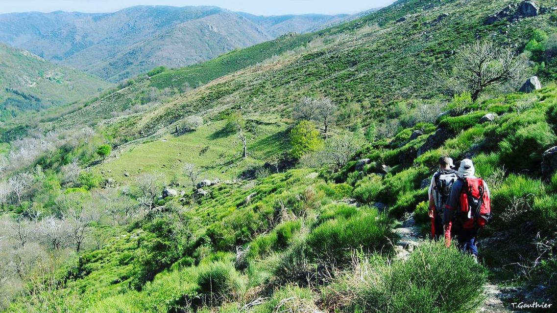 Chez la jeanette - Housity