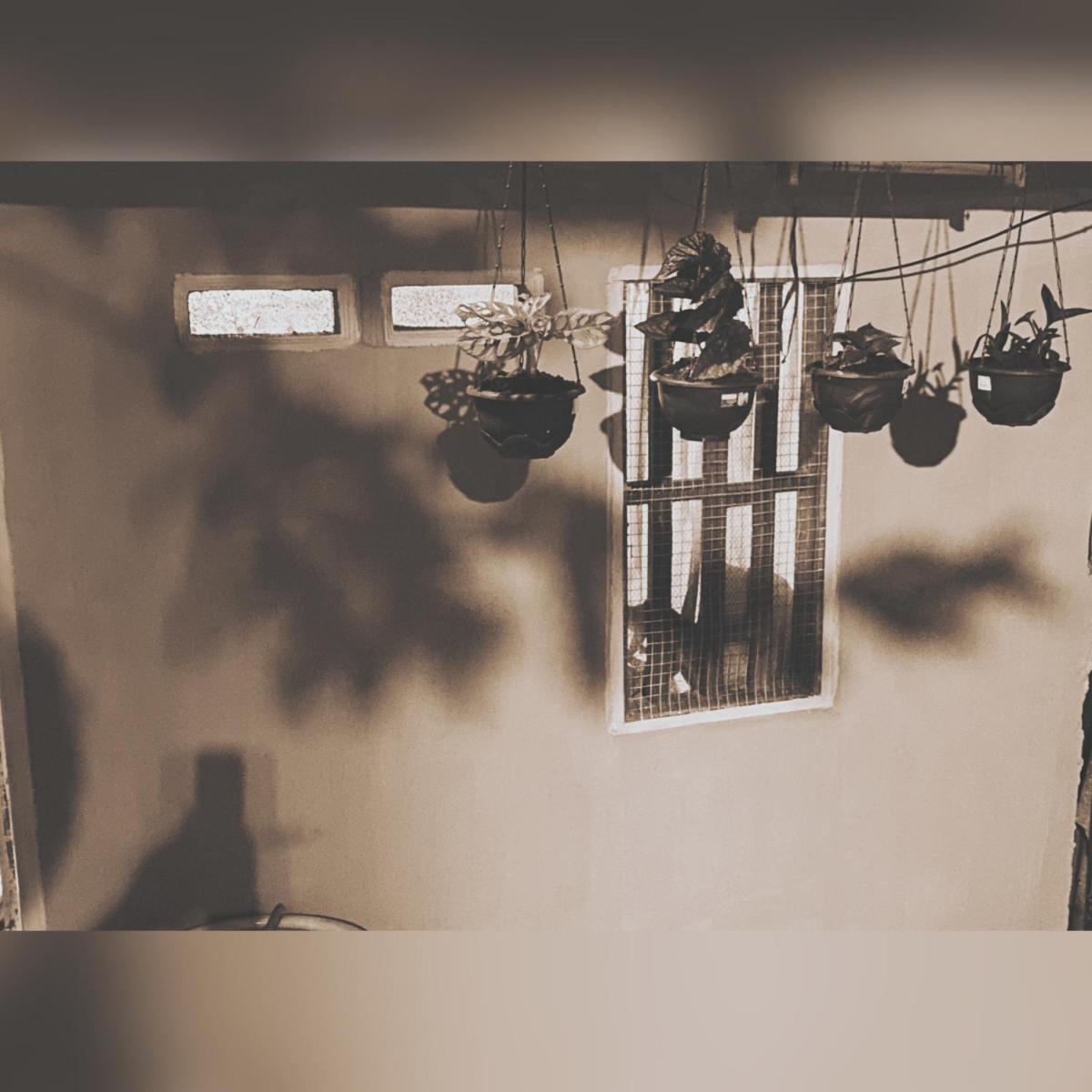 House Edan - Housity