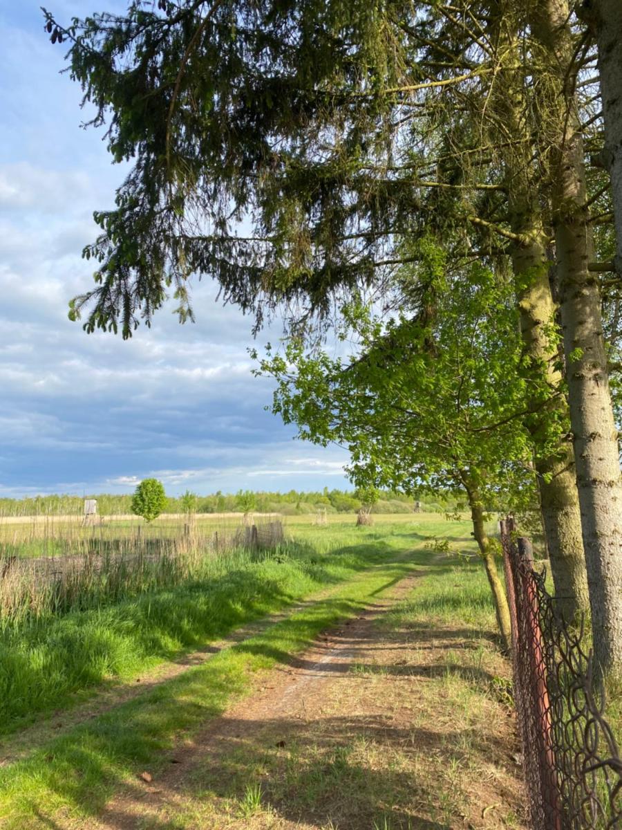 Suitetrails - Ferienhaus am Seegrund