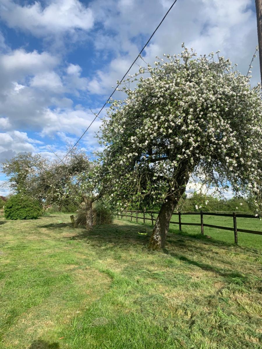Gîte Le bonheur est dans le pré - Housity