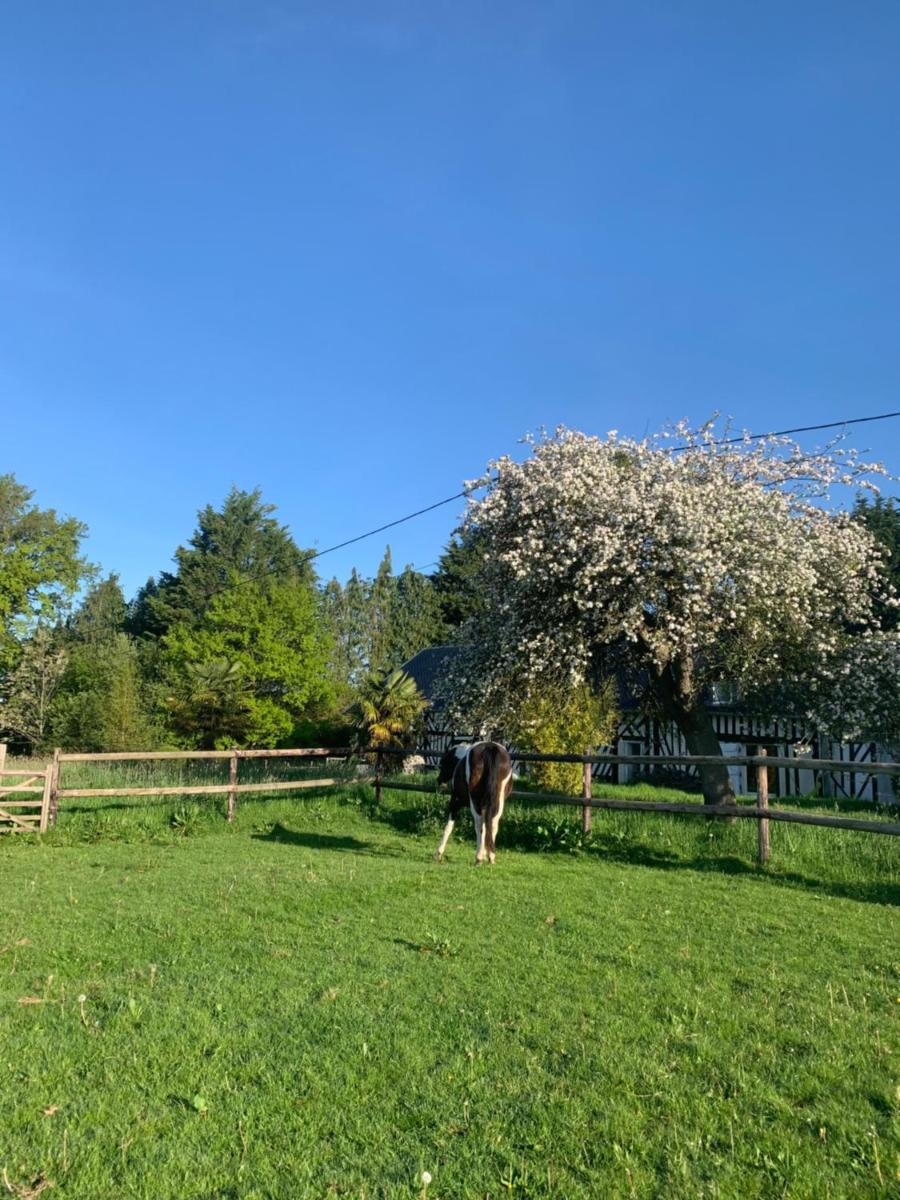 Gîte Le bonheur est dans le pré - Housity