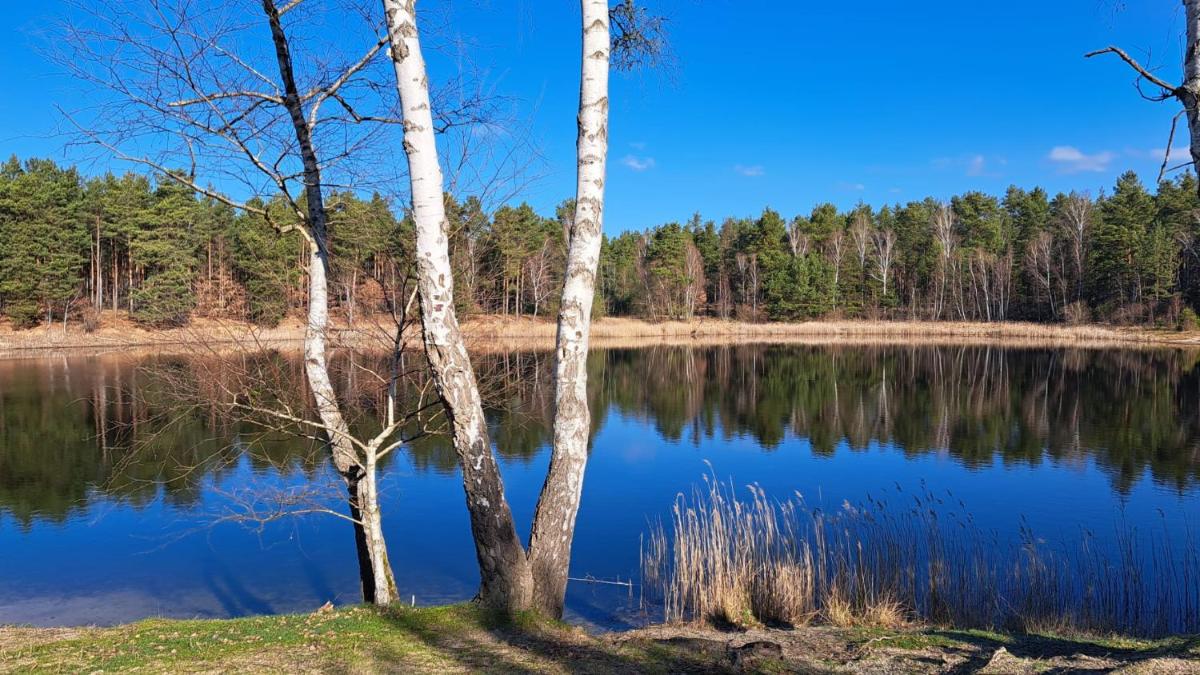 Tornower Waldhäusl, perfekt gelegen 60 km vor Berlin, auf der Schwelle zum Spreewald und nahe Tropical Islands - Housity
