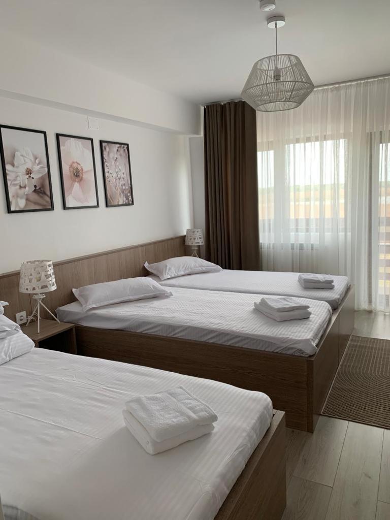 Pensiunea Taisia - Housity