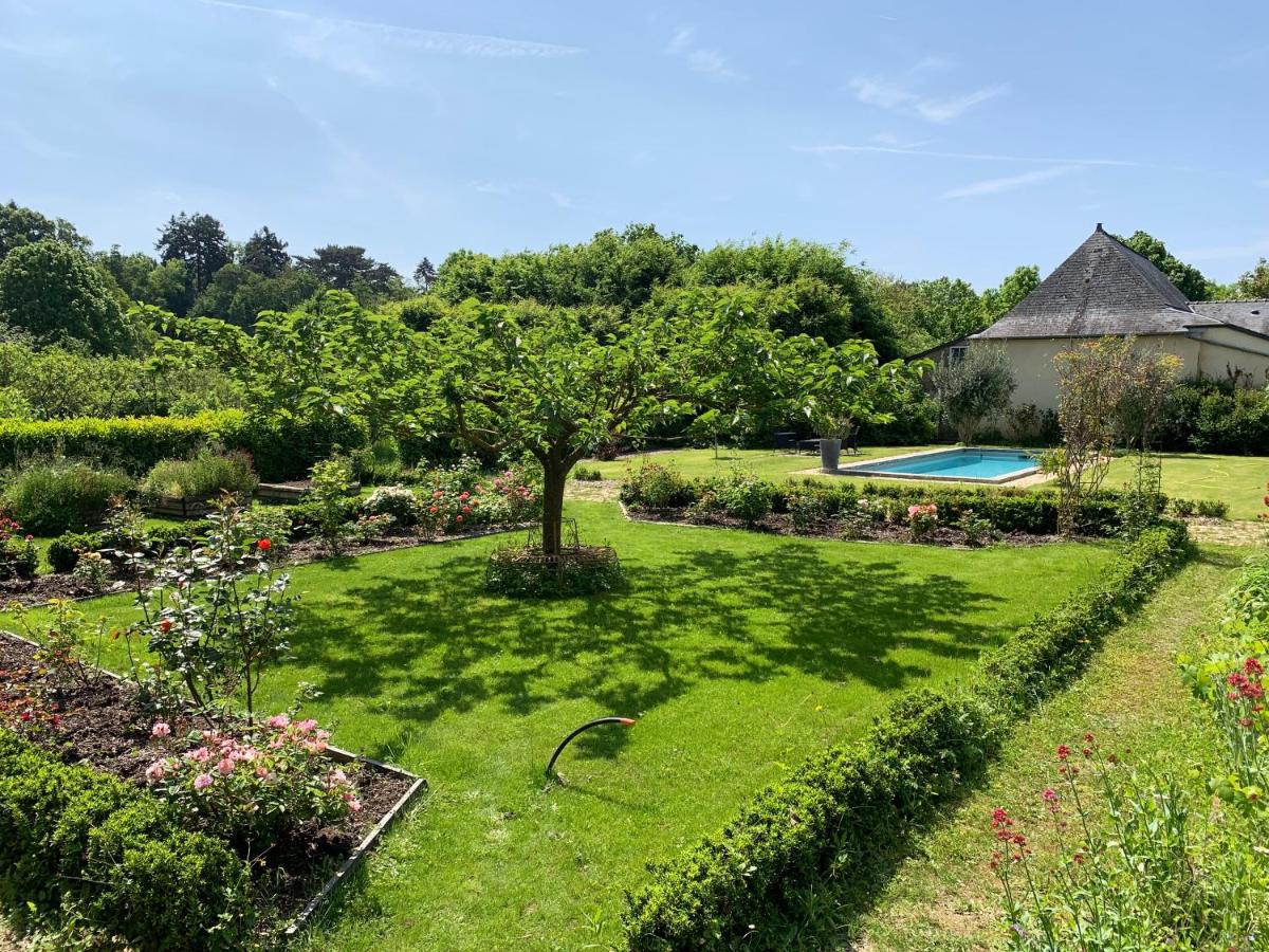 Le Petit Vigneau - Housity