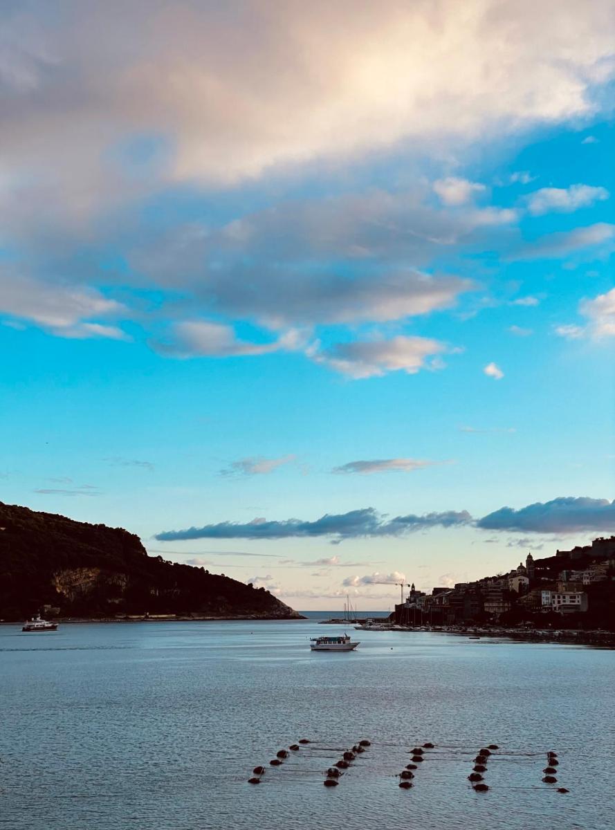 Mirage Rooms & Apartments - Housity