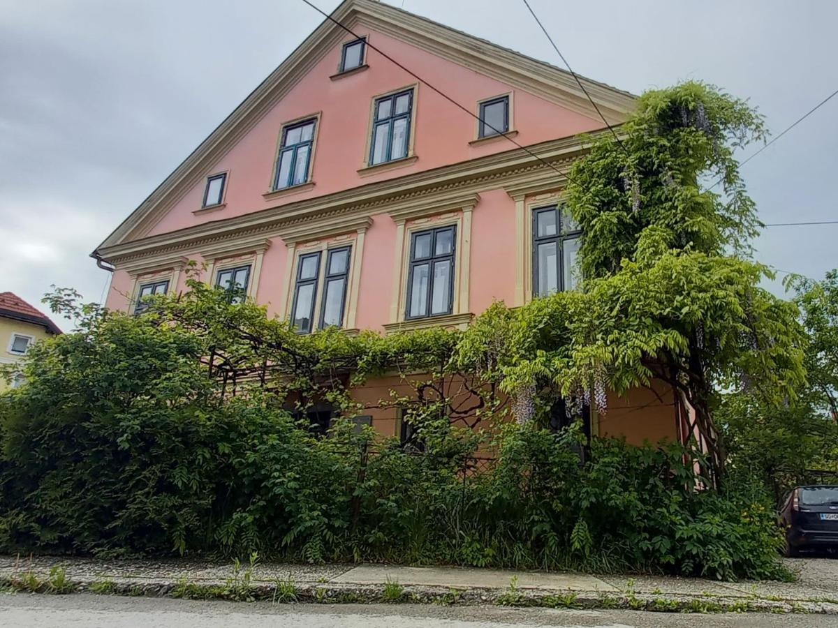 Vila Blueberry - Housity