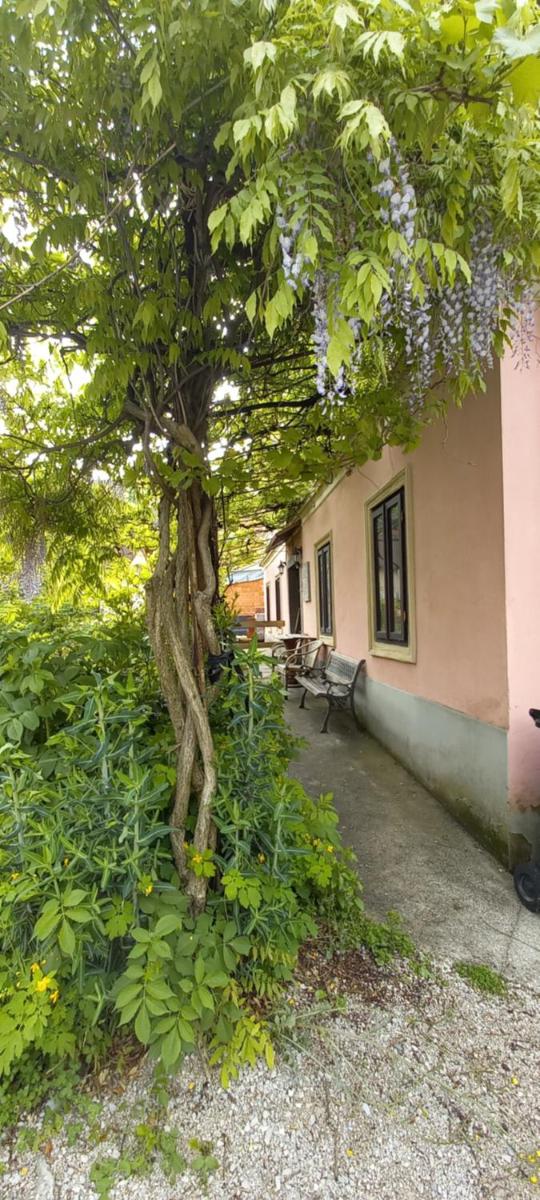 Vila Blueberry - Housity