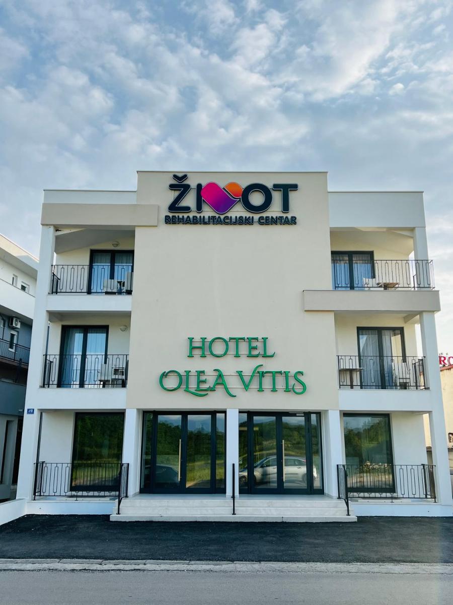 Olea Vitis - Housity