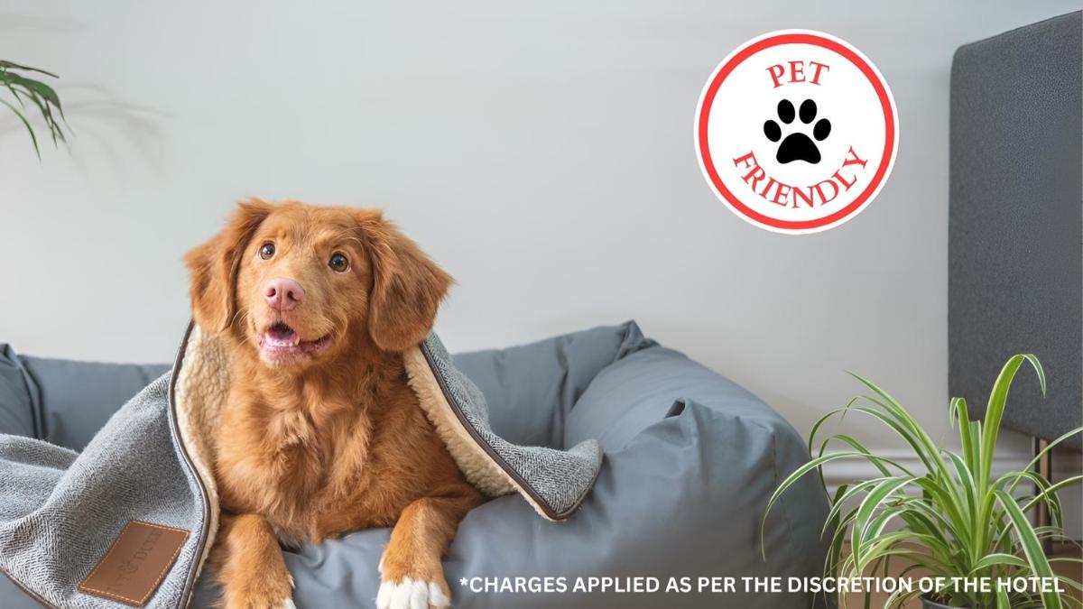 OYO The White Horse, Ripon North Yorkshire - Housity