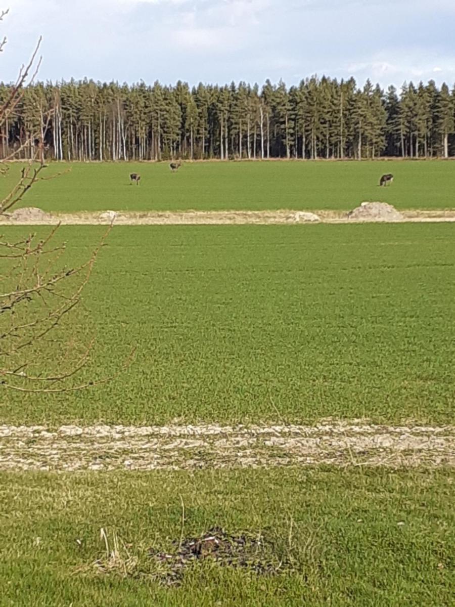 Suitetrails - Värmlandsnäs Valdersrud Stenröse