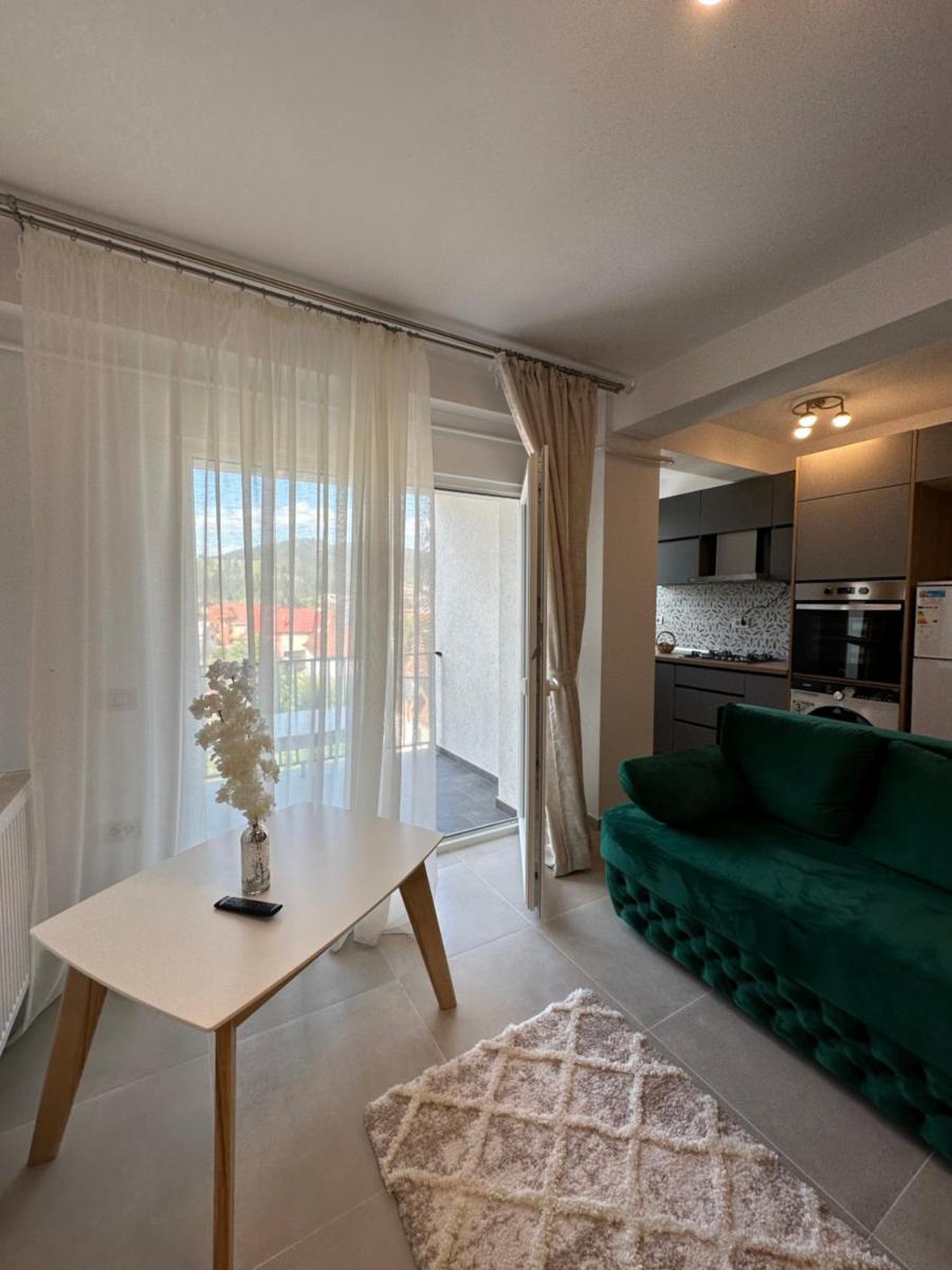 Apartamente Ariniș - Housity