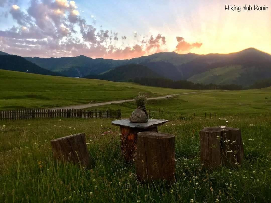 Hotel Tusheti - Housity