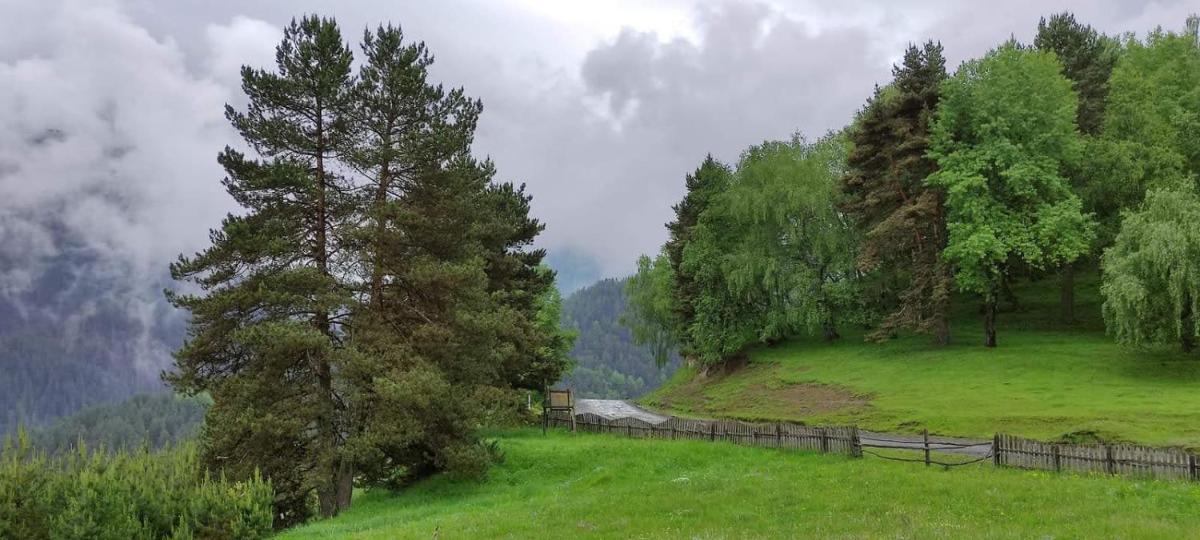 Hotel Tusheti - Housity