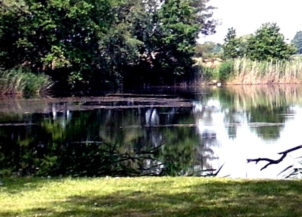 Ferienwohnungen im KUNST.HAUS am See - Housity