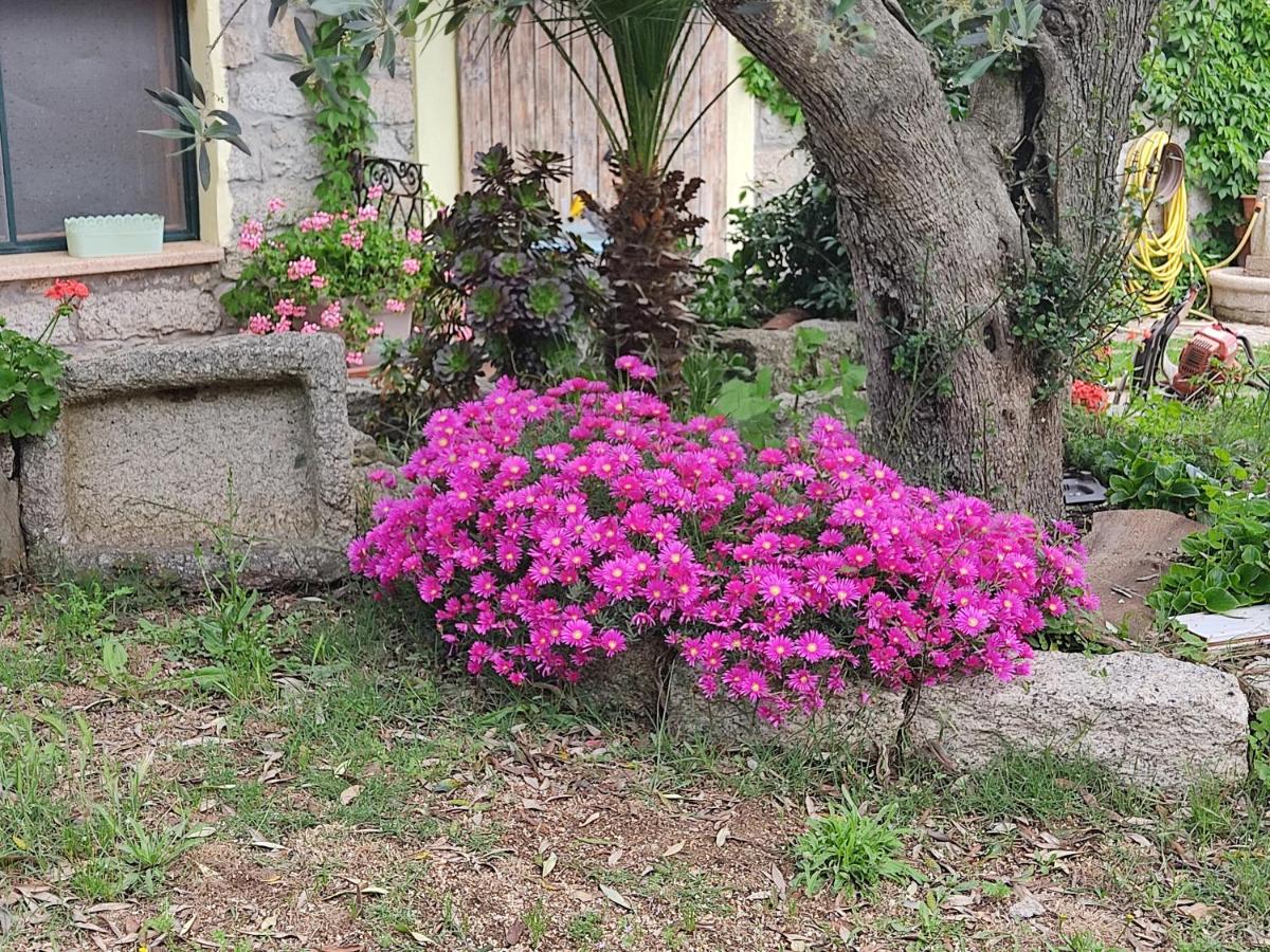 B&B San Michele - Housity