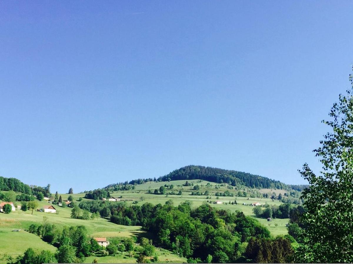 Gîte douillet à Fresse-sur-Moselle avec terrasse, WIFI et cuisine équipée - FR-1-589-43 - Housity
