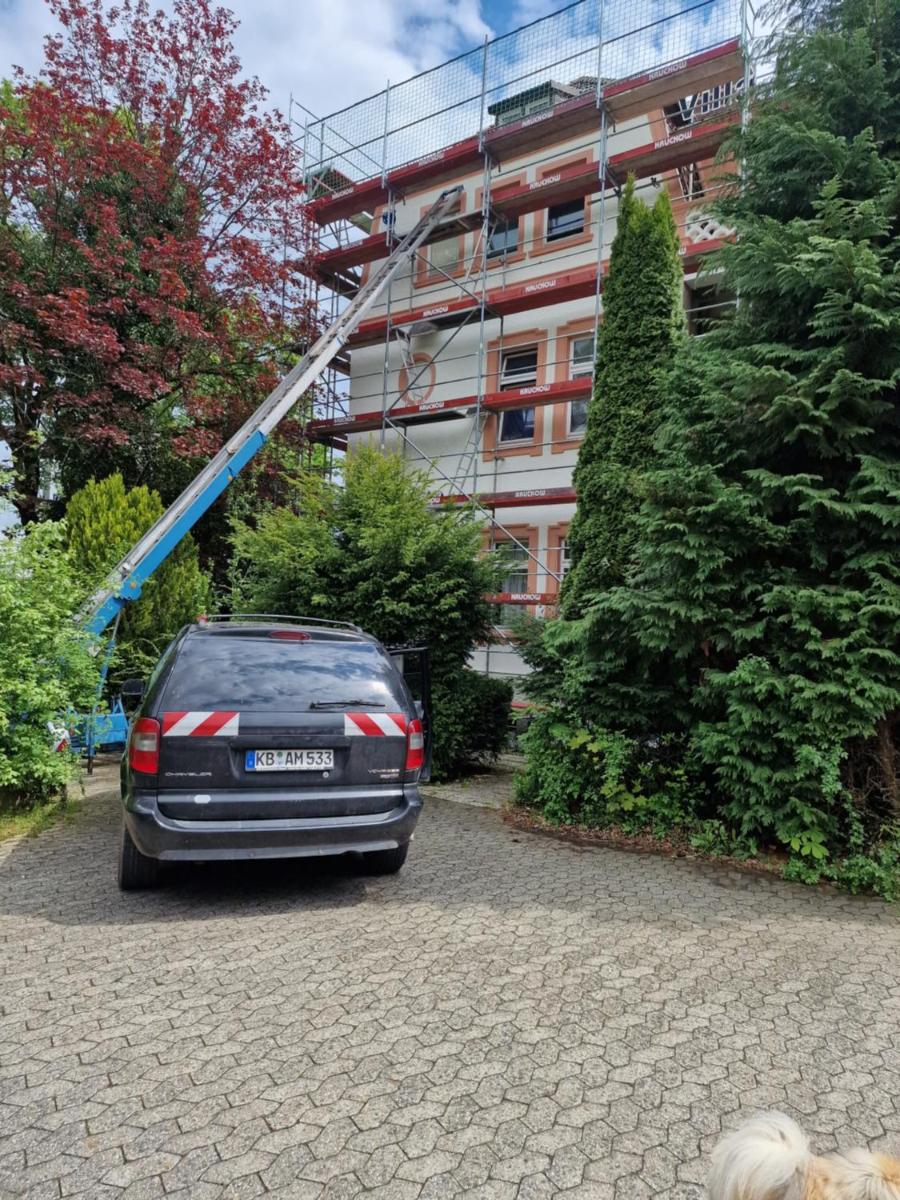 Einzimmerwohnung bei Villa Frida - Housity