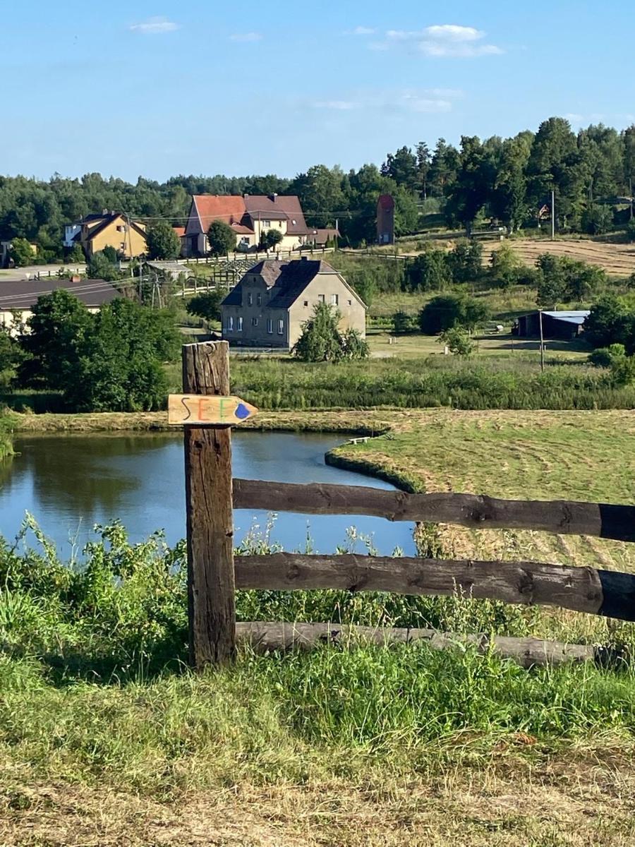 Jeleńczówka Alte Dorfschule - Housity