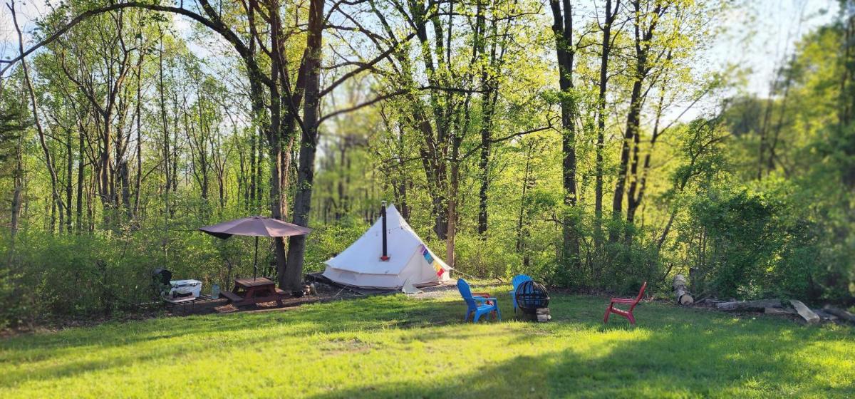 Primitive Secluded Campsite in Oley Valley - Housity