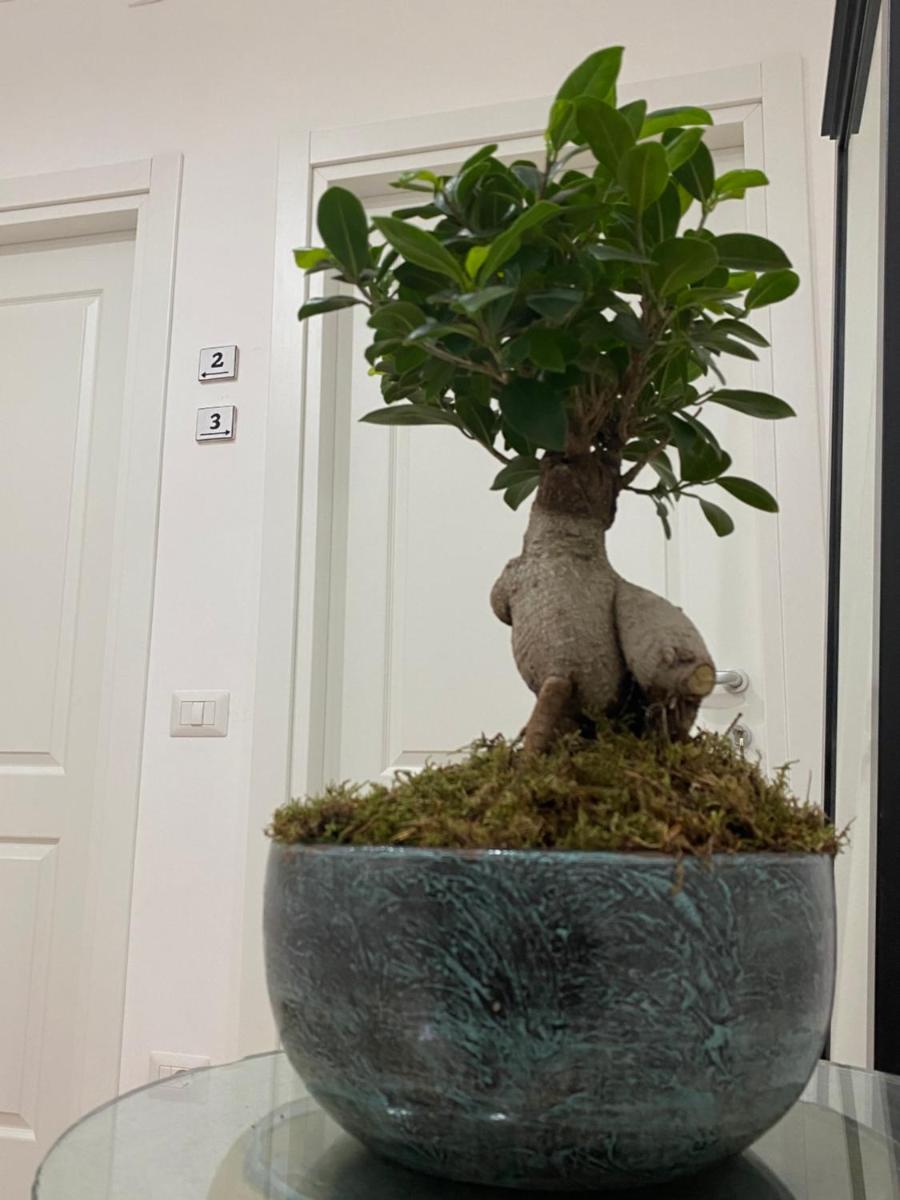 La Maison Derrière - Housity