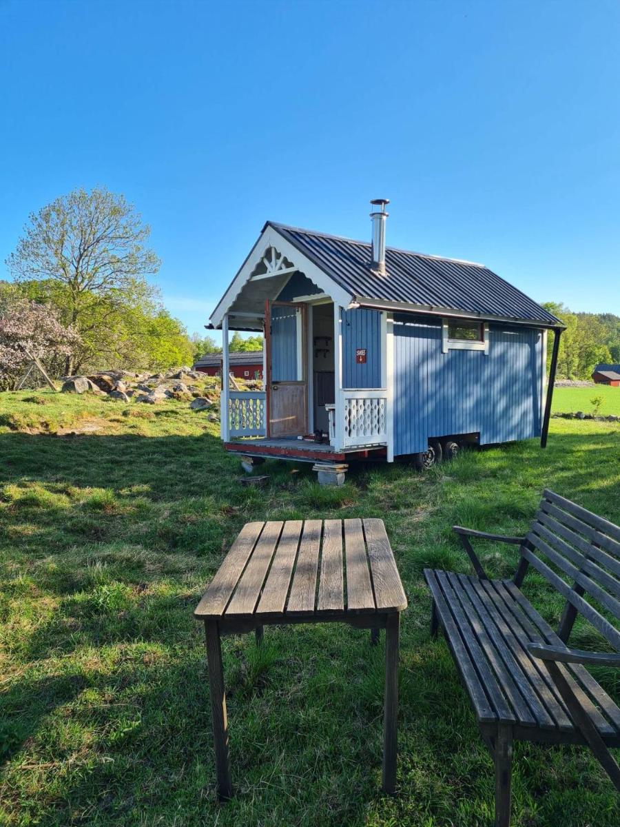 The Thistle Inn - Off grid Glamping - Housity