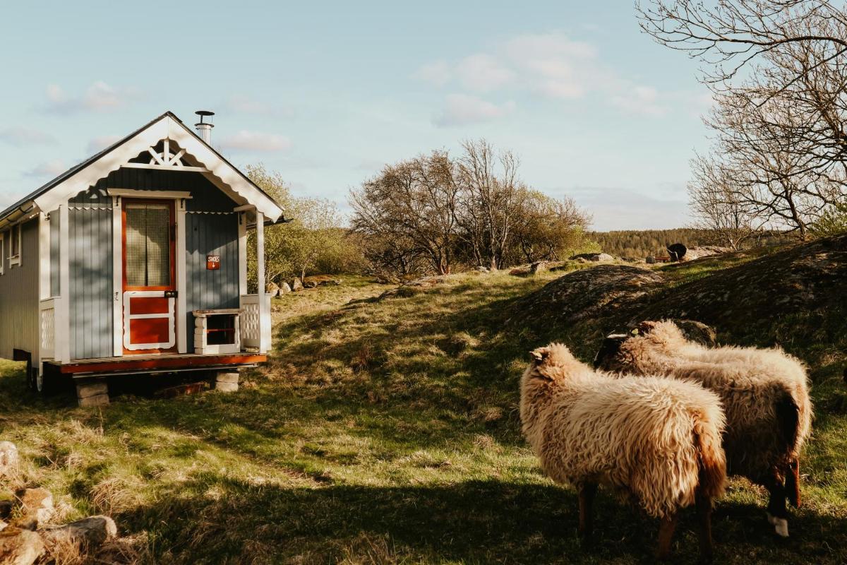 The Thistle Inn - Off grid Glamping - Housity