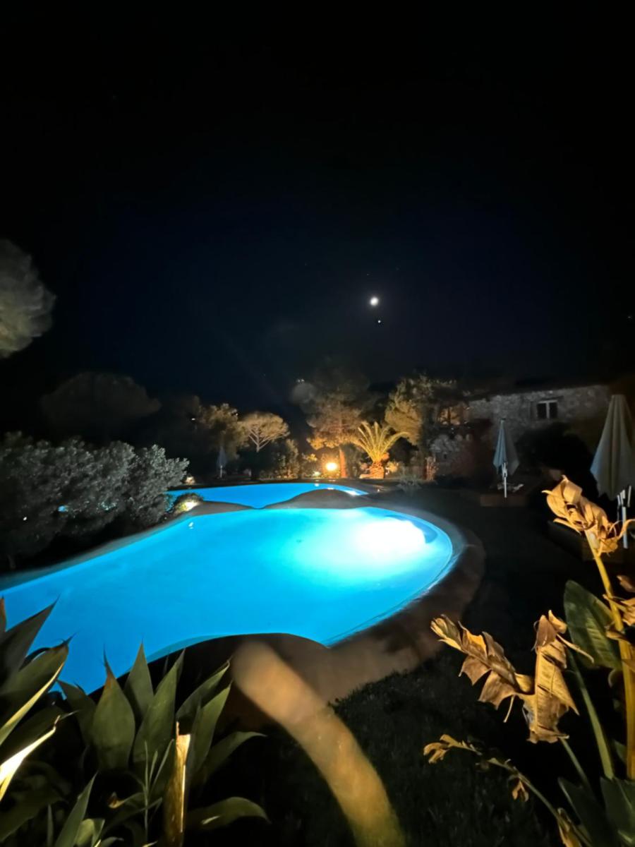 Piscine de l'établissement Hôtel Ambassador Palombaggia ou située à proximité