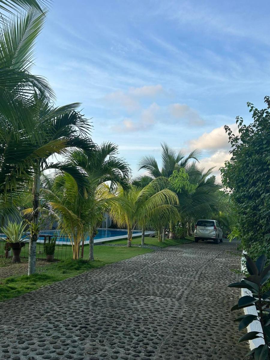 Hill View Home Stay - Housity