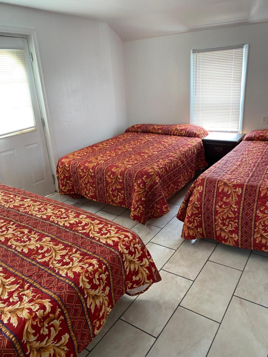 Shore Beach Houses - 38 Dupont Avenue - Housity